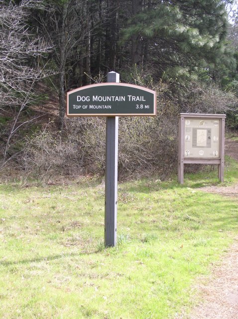 3.24.06 Dog Mountain 004 